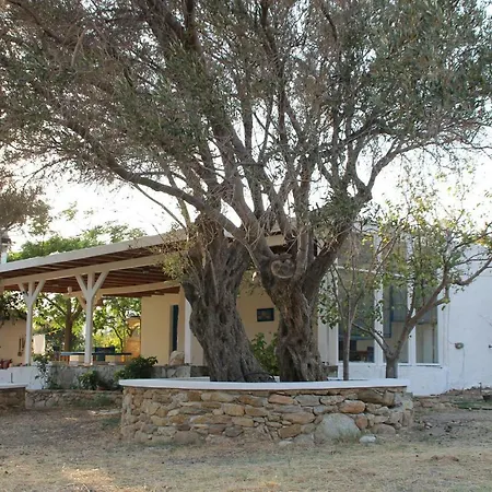 Dom wakacyjny Traditional Summer House Mylopotas